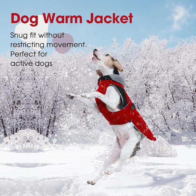 Nanaki Small Dog Coat for Winter Waterproof, Warm Fleece Lining Furry Collar Dog Jacket with Leash Hole, Reflective Adjustable Cold Weather Puppy Jacket Vest, Pullover Pet Snow Suit Male Female,Red S