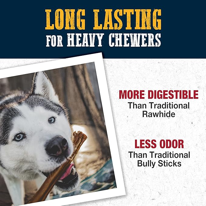 Cadet Bully Hide Sticks for Large Dogs, All-Natural Beef Pizzle, Limited-Ingredient Long-Lasting Dog Chews for Aggressive Chewers, 7 Count