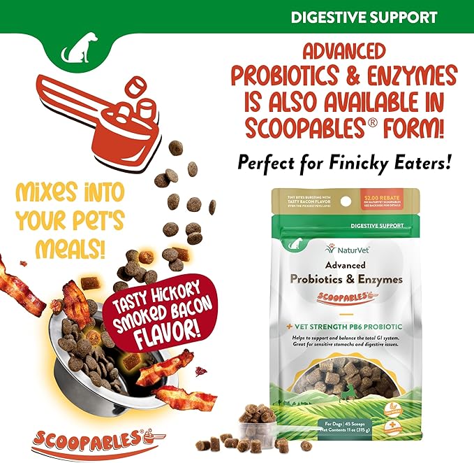 NaturVet Advanced Probiotics & Enzymes, PB6 Dog Soft Chews to Help Sensitive Stomachs and Digestive Issues, Hickory Smoked Bacon Flavored Pet Supplement for Dogs Over 6 Weeks, 240 Count Jar