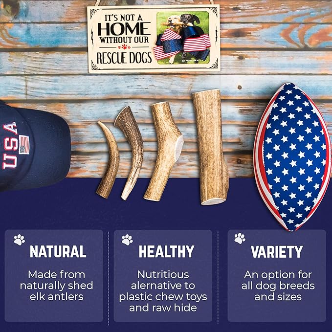 Devil Dog Pet Co. Elk Antlers for Dogs, Small 4"+, 1 Pack, Grade A Long Lasting Chew for Aggressive Chewers, Premium USA Naturally Shed Antler – Healthy, No Odor, Durable Dog Chew