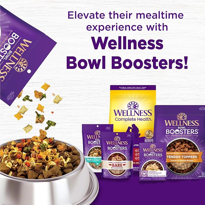 Wellness Complete Health Dry Dog Food with Grains, Made in USA with Real Meat & Natural Ingredients, All Breeds, Adult Dogs (Lamb & Barley, 30-lb) – With Nutrients for Immune, Skin, & Coat Support,