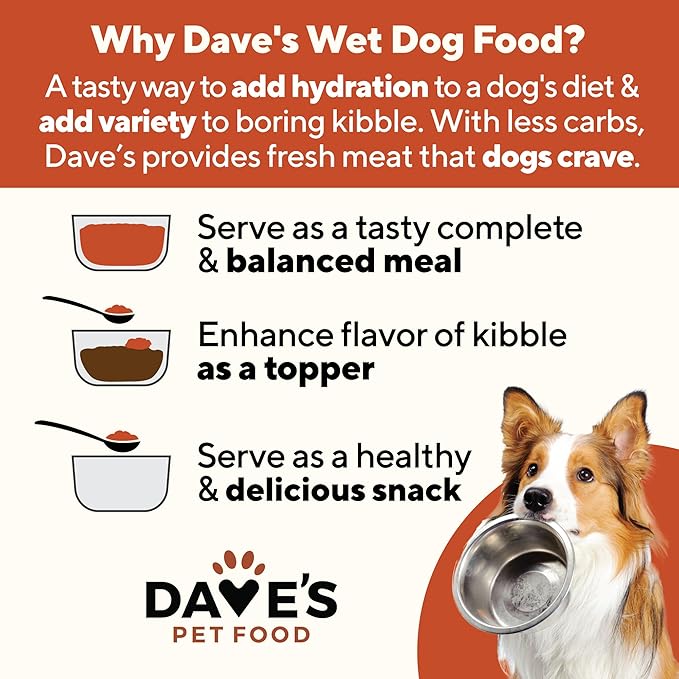 Dave's Pet Food Stewlicious Soft Dog Food Wet (Meaty Beef Stew), Made in USA Canned Topper, Gluten Free, Small to Large Breeds 13.2 oz (12 Pack)