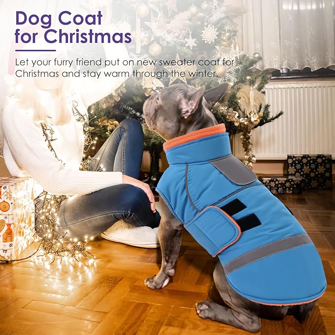 SUNFURA Dog Coat, Large Dog Jacket for Cold Weather, Reflective Winter Coat with Hook & Loop Closure, Easy On Pet Winter Jacket Snowsuit for Large Dogs, Turquoise L