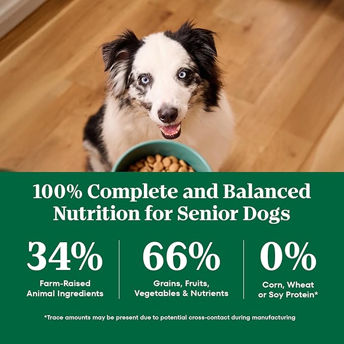 Nutro Natural Choice Chicken & Brown Rice Large Breed Senior Dog Food Dry Recipe, 30 lb. Bag