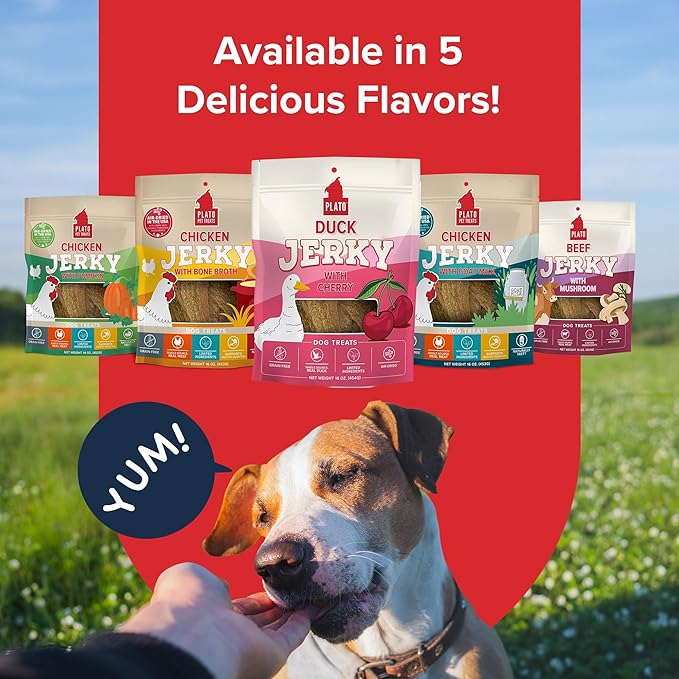 PLATO Pet Treats - Air-Dried Jerky - Delicious, Real Meat Dog Treats - Grain Free - Supports Healthy Digestion - Duck with Cherry 16oz