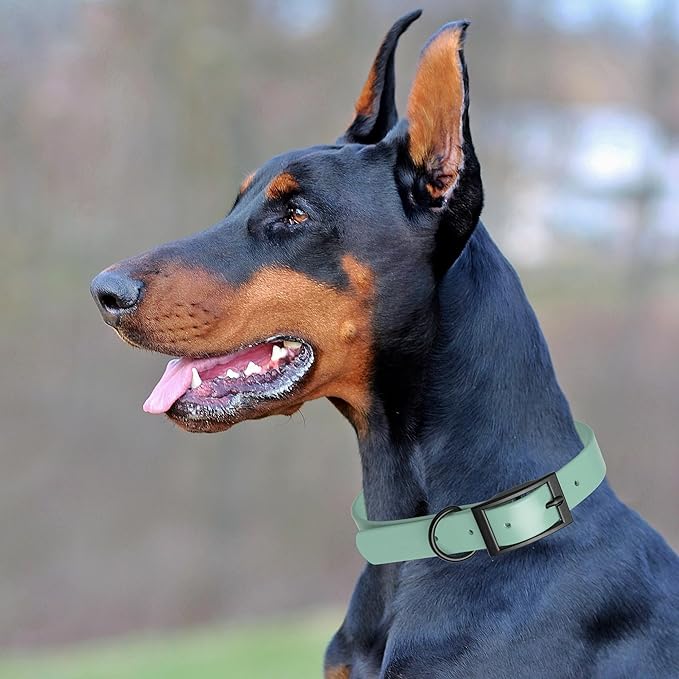 Dogline Biothane Waterproof Dog Collar Strong Coated Nylon Webbing with Black Hardware Odor- Proof for Easy Care Easy to Clean High Performance Fits Small Medium or Large Dogs, Sage Green