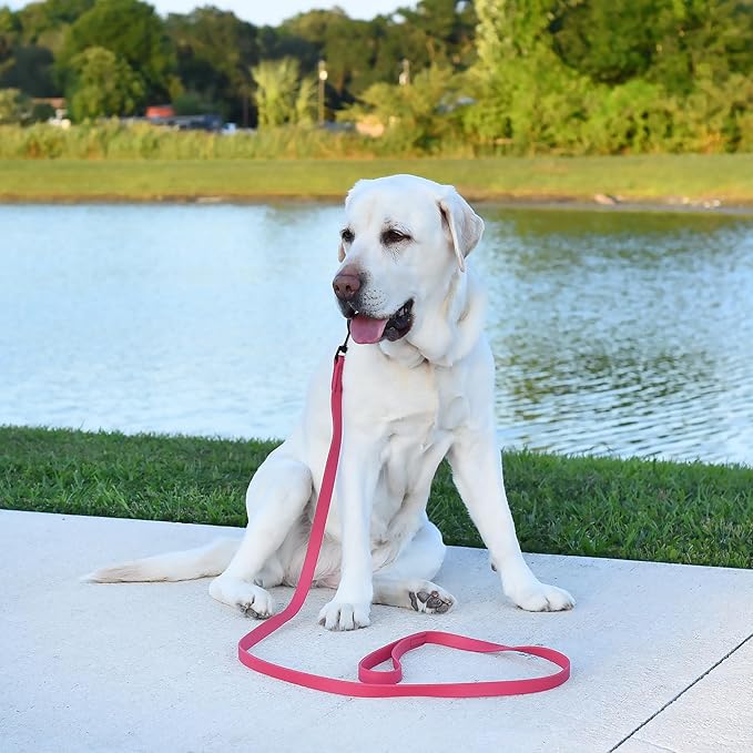 Dogline Biothane Waterproof Dog Leash 2/4/6 Ft Strong Coated Nylon Webbing with Black Hardware Odor-Proof Easy to Clean High Performance for Small or Large Dogs Made in USA, Passionfruit Pink