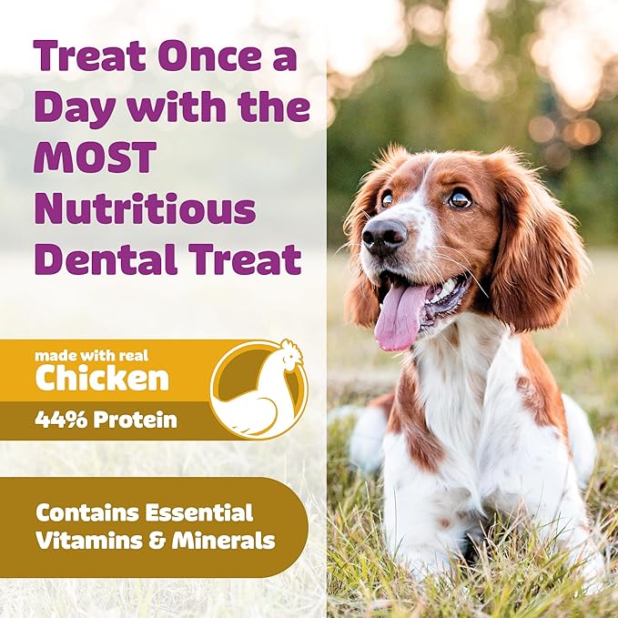 Yummy Combs Dog Dental Treats – Vet VOHC Approved – Delicious Chicken Protein – Removes Tartar with Cleaning Comb Shape – Dental Dog Treats for Extra Small Dogs (24oz, 96 Count)