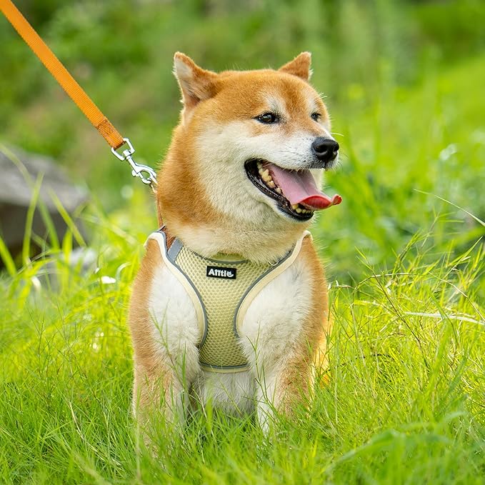 AIITLE Small Harness for Puppy with A Leash - Summer Dog Vest Harness with Super Breathable Mesh, Reflective No-Pull Pet Harness for Outdoor Walking, Camping for Small Dogs, Cats Beige XXS