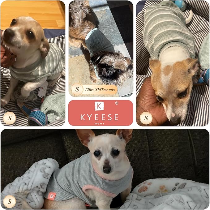 KYEESE 2Pack Waffle Dog Shirts for Small Dogs Stretchy T-Shirts Lightweight Tank Top Sleeveless Striped Shirt Vest Breathable Cat Shirt, Small, Orange+Striped