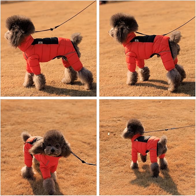 Lovelonglong Warm Jacket - 4 Legs Covered Waterproof Windproof Reflective Vest, Zippered Adjustable Outdoor Snow Jacket for Small Medium Large Dogs, Orange XL