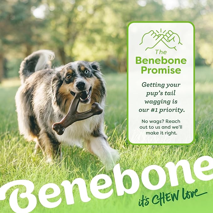 Benebone Wishbone Durable Dog Chew Toy for Aggressive Chewers, Made in USA, Large, Real Bacon Flavor