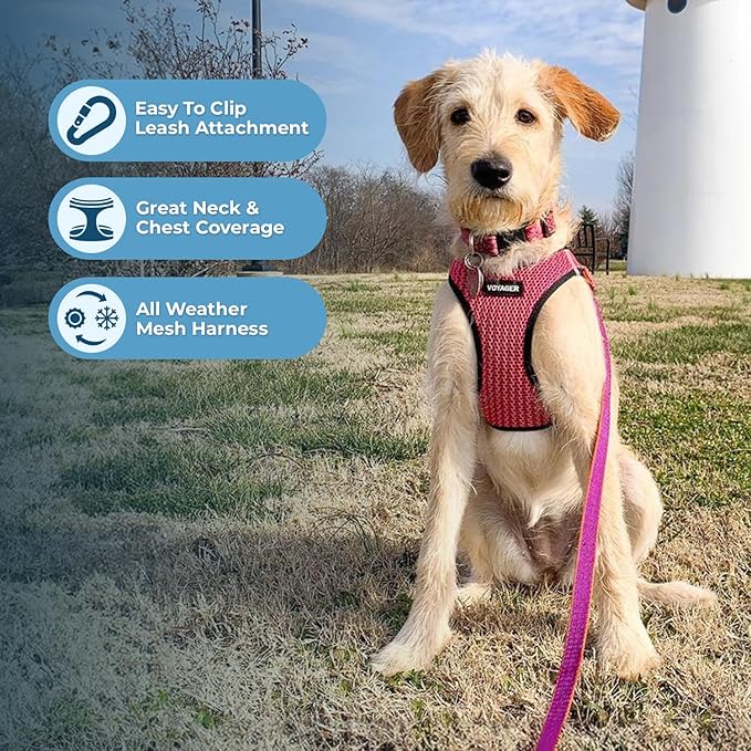 Best Pet Supplies Voyager Step-in Air Harness - All Weather Mesh, Reflective, No Pull Harness for Dogs, Cats - Secure with Hook & Loop Fastener, Buckle, Double D-Rings - Tone, M