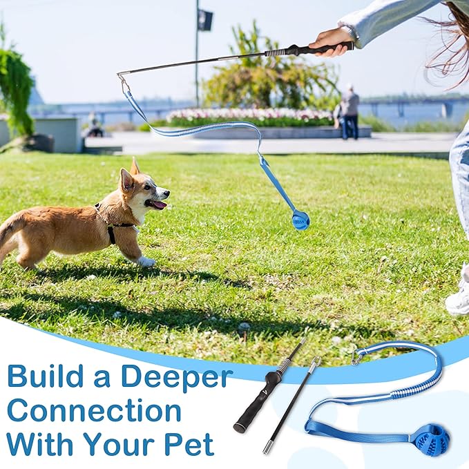 Flirt Pole for Dogs Interactive Dog Pole Toy for Large Medium Small Dogs, Sports Dog Teaser Pole for Tug of War, Flirt Pole with Lure Ball (Standard Pole + Tensile Rope)