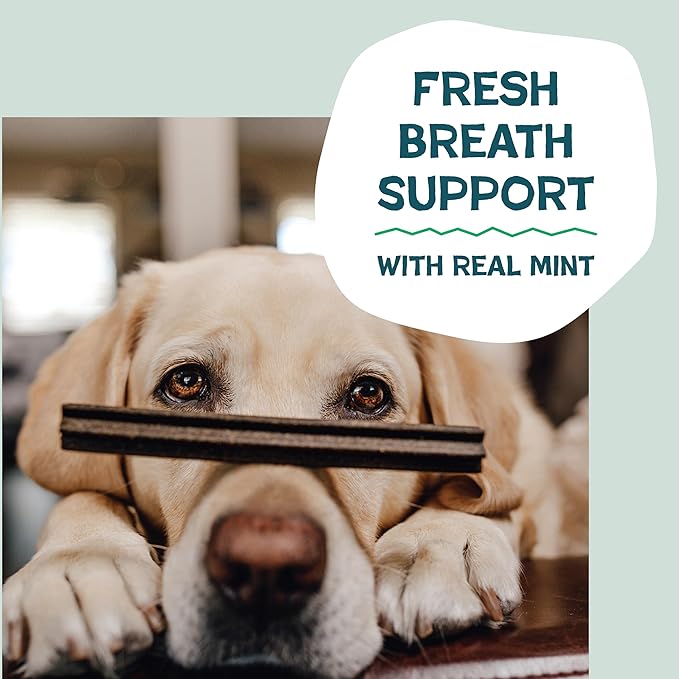 Shameless Pets Dental Treats for Dogs, A Cluck A Day (32 Sticks) - Supports Digestion for Teeth Cleaning & Fresh Breath - Dog Bones Dental Chews Free from Grain, Corn & Soy