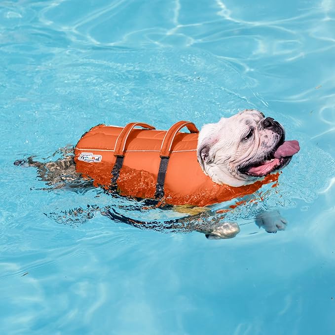 Outward Hound Granby Splash Dog Life Jacket, High-Buoyancy Dog Life Vest for Swimming, Boating, and Water Safety, XL, Orange