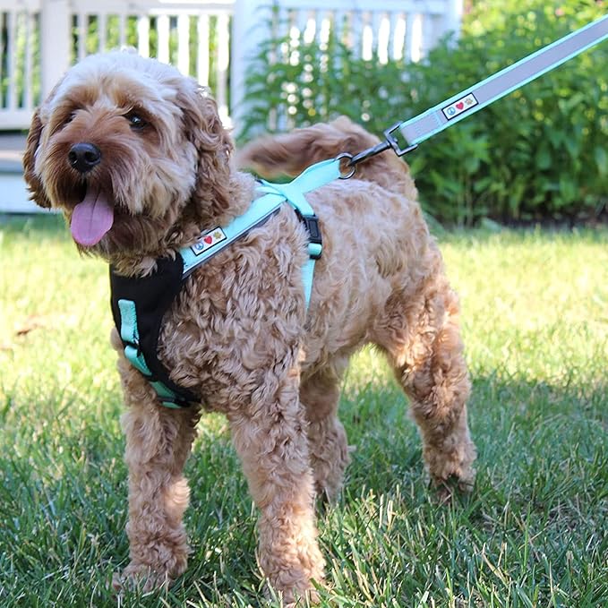 Pawtitas 6 FT Padded Dog Leash with Comfortable Neoprene Padding Handle - Camo Pink Lead | Medium Reflective Dog Leash with Highly Reflective Band Perfect for Medium and Large Dogs and Puppies.