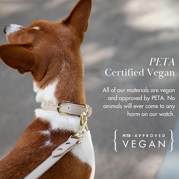 NINA WOOF Copenhagen Leather Dog Collar - Handmade with Vegan Soft Leather Round Padded Collar with Adjustable Buckle for Extra Small, Small, Medium, and Large Dogs - Color Beige, Large