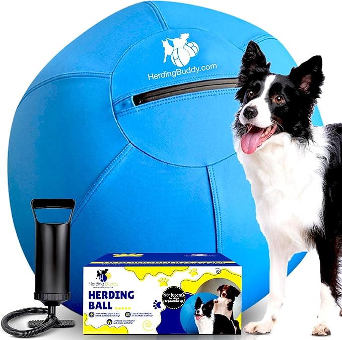 Herding Ball for Dogs - 25” Cover for Australian Shepard, Collie, Cattle & All Herding Dogs Over 27 Pounds - Heavy Duty Dual Layered Cover - Thick Anti-Burst Inner Ball - High Flow Foot Pump