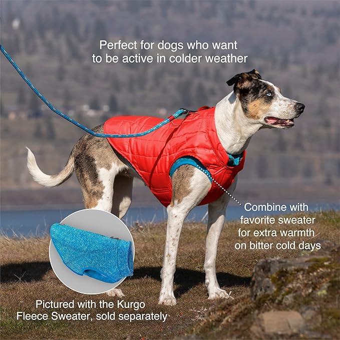Kurgo Loft Dog Jacket - Reversible Cozy Coat for Outdoor Adventures - Water Resistant - Athletic Fit - Machine Washable Fabric - Reflective Dog Gear - Small - Watercolor Stripe