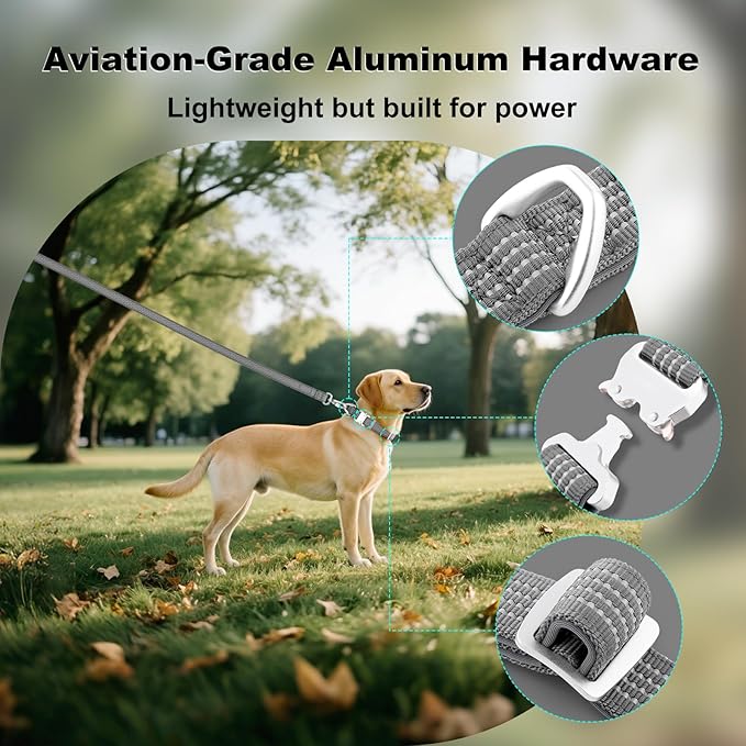Plutus Pet Reflective Dog Collar with Aviation Aluminum Buckle, Neoprene Padded for Comfort, Lightweight, Heavy Duty Nylon Collar for Puppy Small Medium Large Dogs (Gray, M)