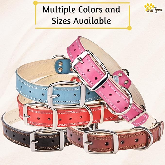 ADITYNA Heavy-Duty Black Leather Dog Collar for Large Dogs - Soft Padded for Comfort - Large Dog Collar for Walking, Training, and Hiking