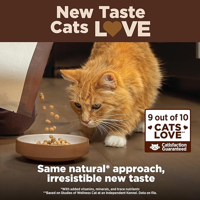 Wellness CORE+ Adult Dry Cat Food for Indoor Cats, Grain Free, Natural, Chicken, Turkey & Chicken Meal (11 Pound Bag)