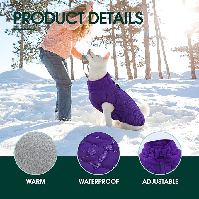 Kuoser XXXL Thermal Dog Suit | Extra Giant Apparel for St. Bernards | D-Ring Safety System Prevents Escape During Storms, Purple XXL