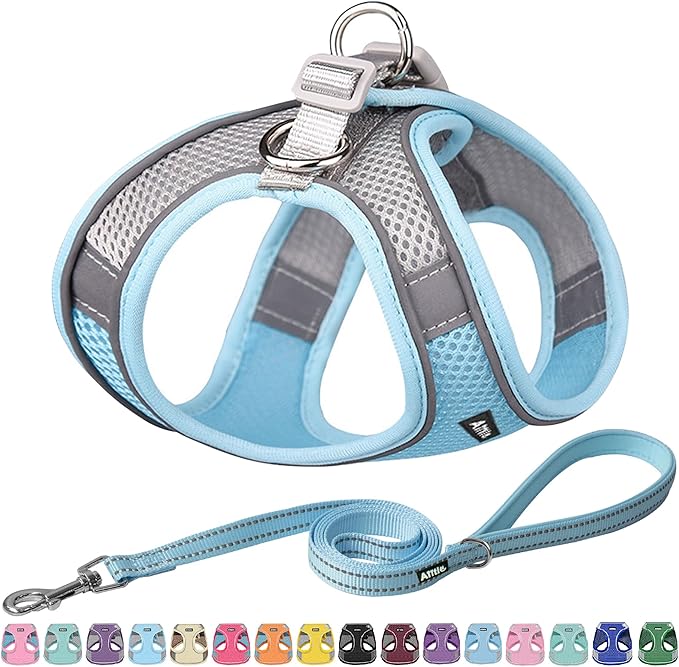 AIITLE Comfortable Dog Harness and Leash Set for Walking - Summer Step in Vest Harness,Reflective Bands, Adjustable No Pull Puppy Essentials, for Small Dogs and House Cats Blue XS