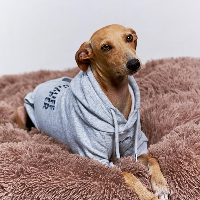 Tuff Pupper Dog Hoodie | Premium Quality 100% Organic Cotton | Ultra Soft Interior for Superior Comfort | Elastic Cuffs & Drawstring for Warmth | Stretch Fit Suitable for All Breeds (Gray, XS)