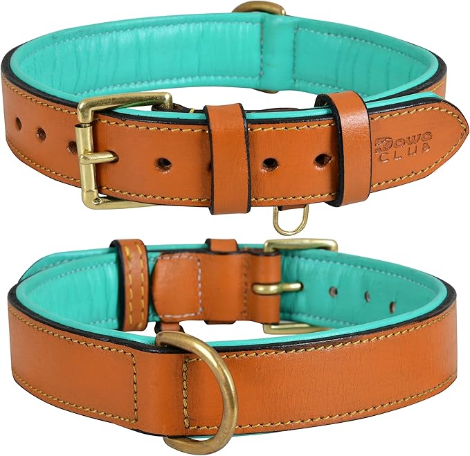 Leather Dog Collar for Medium Dogs, Tan, 1 Inch Wide, Genuine Full Grain Leather, Heavy Duty with Soft Inner Padding, Comfortable and Durable (Medium (Fit Neck Size 14.5"-18.5"), Tan)