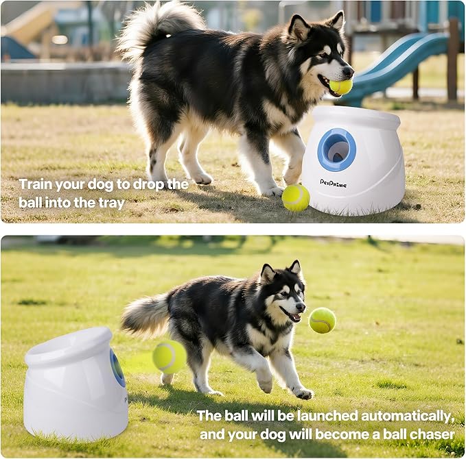 Pet Prime Automatic Ball Launcher for Large Dogs，Adjustable 10-40ft Distance,Rechargeable Dog Ball Thrower with 6 Tennis Balls(2.5") & Training Whistle,Interactive Toy for Indoor/Outdoor Play
