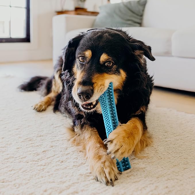 Playology Dog Toys | Dental Chew Stick Gentle on Gums | Medium Peanut Butter Scented Toy - Easy to Clean and Made from Non Toxic Materials