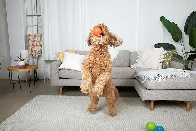 Jolly Pets Mini Jolly Soccer Ball; Floating-Bouncing Dog Toy; 3" Green Apple