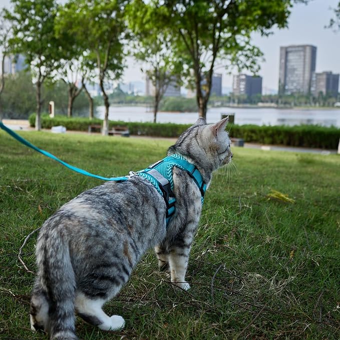 Cat Harness and Leash Escape Proof Small Kitten Harness Abyssinian Cat Vest for Walking Travel, Turquoise, S