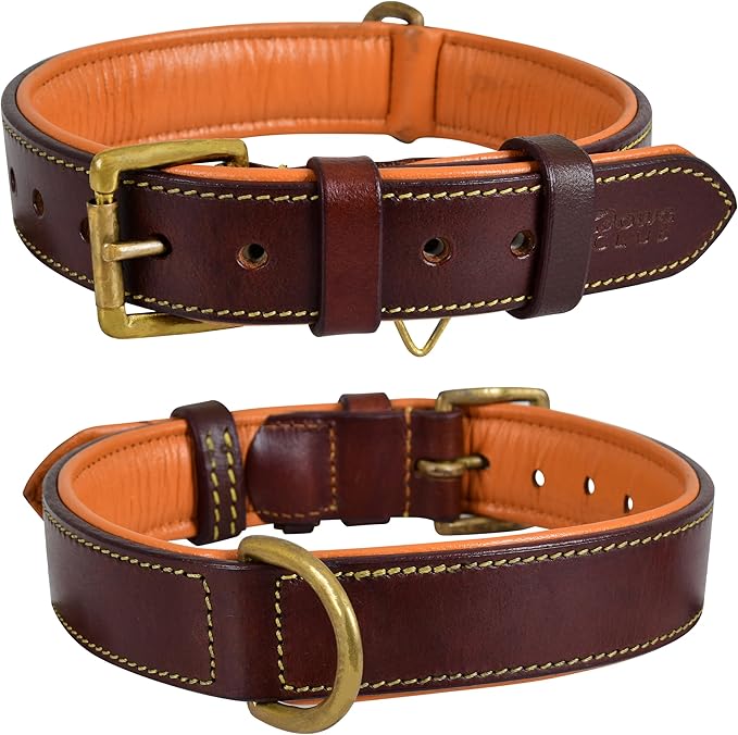 Leather Dog Collar for Medium Dogs, Brown, 1 Inch Wide, Genuine Full Grain Leather, Heavy Duty with Soft Inner Padding, Comfortable and Durable (Medium (Fit Neck Size 14.5"-18.5"), Brown)