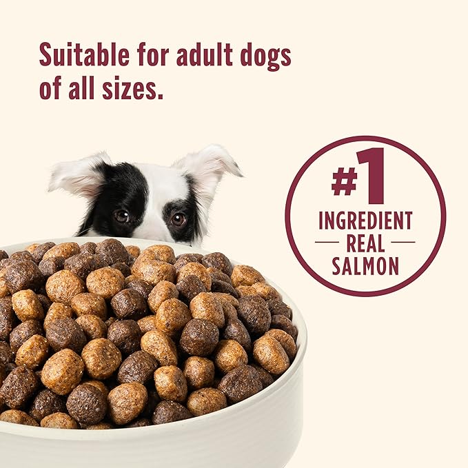 Nutrish Salmon Dry Dog Food, 26 Pound Bag