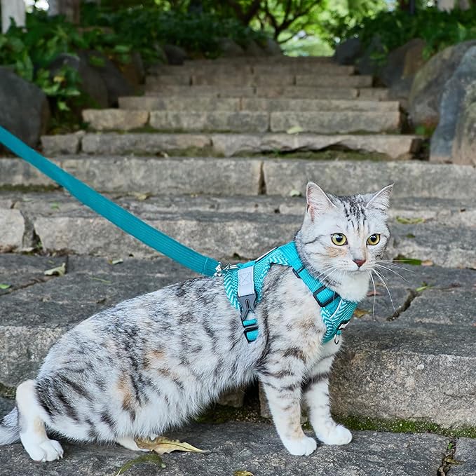 Cat Harness and Leash Escape Proof Extra Large Kitten Harness Maine Coon Cat Vest for Walking Travel, Turquoise, XL