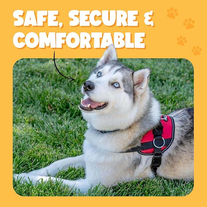 Bark Appeal Purple No-Pull Dog Harness for Small to Medium Sized Pets – Adjustable, Reflective Vest with 3 Leash Clips for Added Control, Easy Walks & Training – Medium