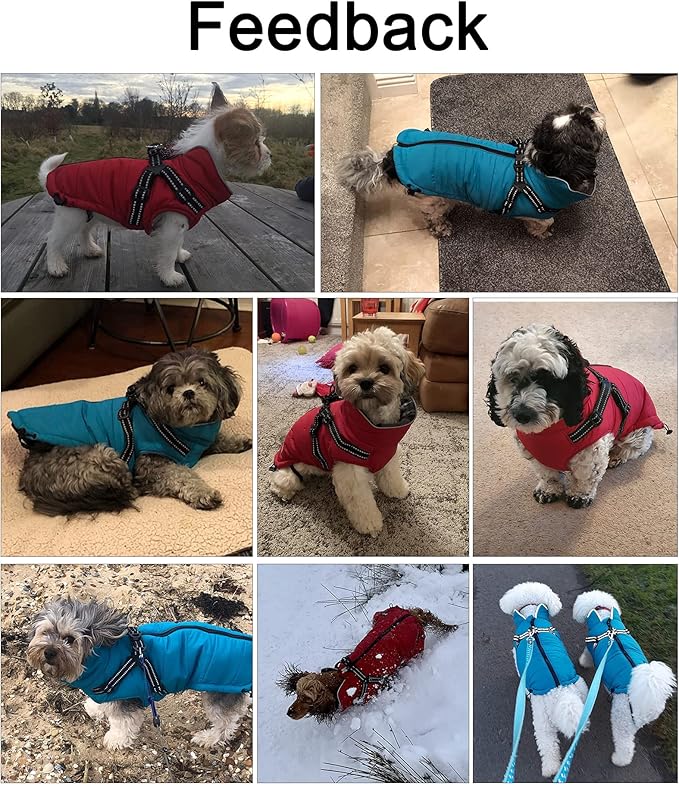 Geyecete Warm Waterproof Dog Coat With Harness Traction Belt - Pet Outdoor Autumn and Winter Jacket for Medium, Small Dogs - Gray - S