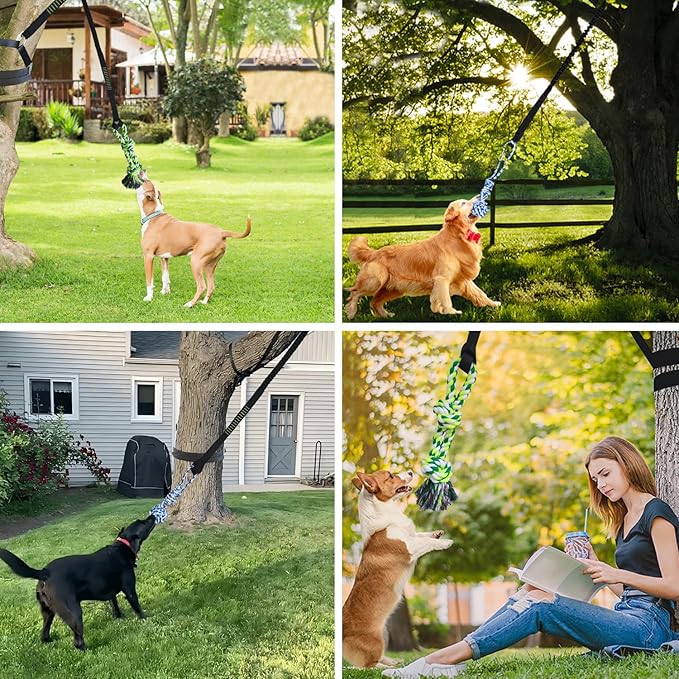 Outdoor Bungee Tug Solo Hanging Toy, Tree Tugger Dog Pull Rope Tug a War for Pitbull Medium Large Aggressive Chewers, Interactive Dog Tether Toy for Yard, 2 Rope Toys