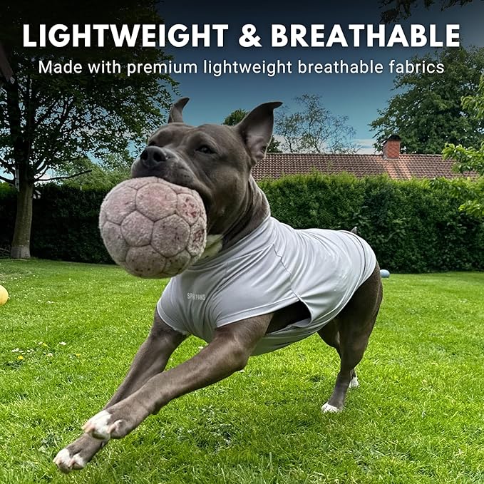 Spark Paws Sunblock Dog T-Shirt, SPF30 Protection, Lightweight Breathable Quick Dry for Dogs with Sensitive Skin - Blue & Grey (Set of 2) - 3XL
