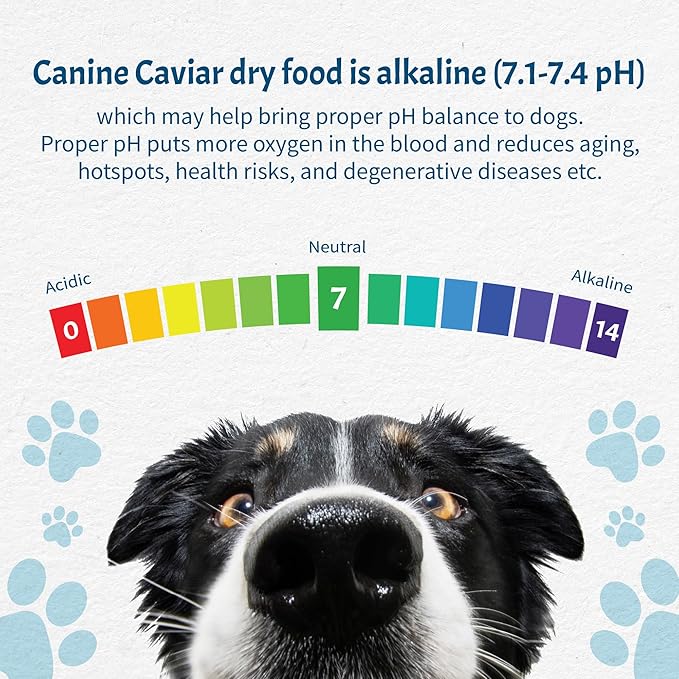 Canine Caviar - Special Needs: Trout & Whole Ground Oats, Alkaline Dry Dog Food, Limited Ingredients, Gluten-Free, Based on Science & Research, Veterinary Alternative Diet (4.4 Pound Bag)