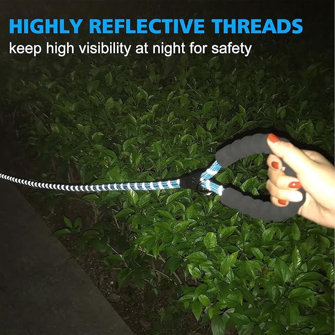 Reflective Dog Collar Padded with Soft Neoprene Breathable Adjustable Nylon Dog Collars for Small Medium Large Dogs (X-Small (Pack of 1), Vivid Blue Plaid Collar+Leash)