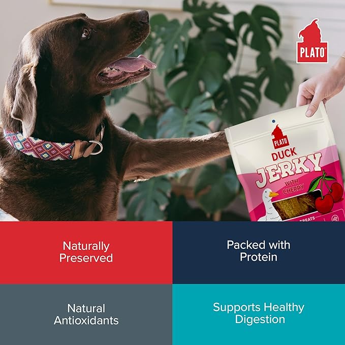 PLATO Pet Treats Jerky Dog Treats - Air-Dried Jerky for Dogs - Delicious, Real Meat Dog Treats - Grain Free - Supports Healthy Digestion - Duck Jerky with Cherry 7oz