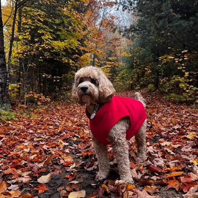 JACKO & CO - Fleece Vest Dog Sweater with Leash Ring - Soft, Warm & Lightweight Pullover Coat for Small & Medium Dogs, Puppies & Cats - Cozy Fall/Winter/Spring Pet Jacket (Red, Medium 6-10lbs)