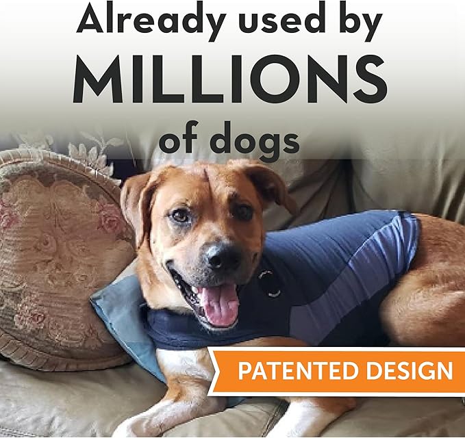 ThunderShirt for Dogs, Small, Blue Polo - Dog Anxiety Relief Calming Vest