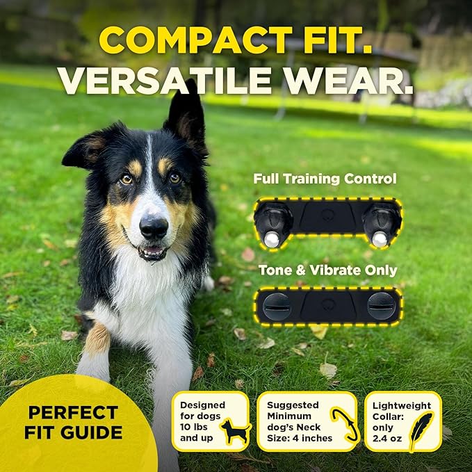 Dogtra 200iQ Remote Training E Collar – 100 Levels, Tone, Vibration, 1/2 Mile Range – Compact, Waterproof, One-Handed Control for Dogs 10 lbs+ – Lightweight Design for Daily Training – Sunset