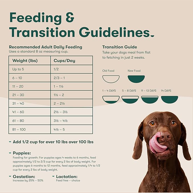 Jinx Premium Dry Dog Food, for All Life-Stages - Real Salmon, Brown Rice & Sweet Potato Kibble with Superfoods for Immune Support & Probiotics for Digestive Support - No Fillers – 4lb