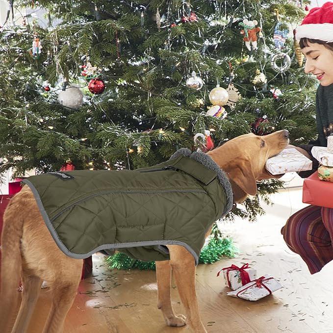 Fragralley Dog Coat Large, Waterproof Dog Jacket with Warm Fleece Lining, Adjustable Reflective Dogs Winter Coat, Turtleneck Pet Coats for Cold Weather (ArmyGreen XL)